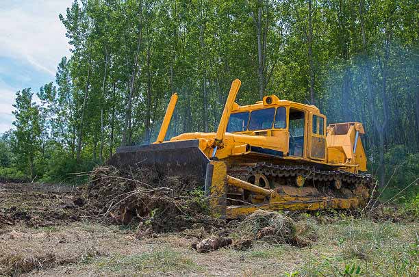 Land Clearing, Stump Grinding and Wood Chipping