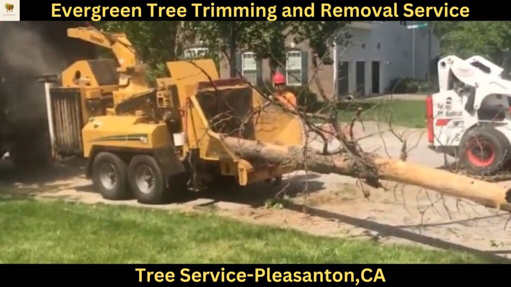 Tree Service in Pleasanton,CA