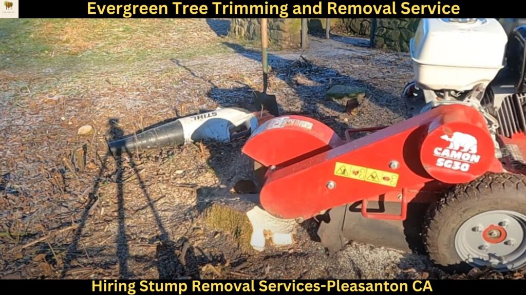 Hiring Stump Removal Services in Pleasanton,CA