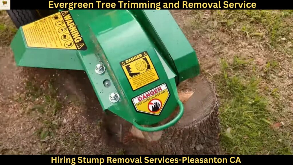 Hiring Stump Removal Services in Pleasanton,CA